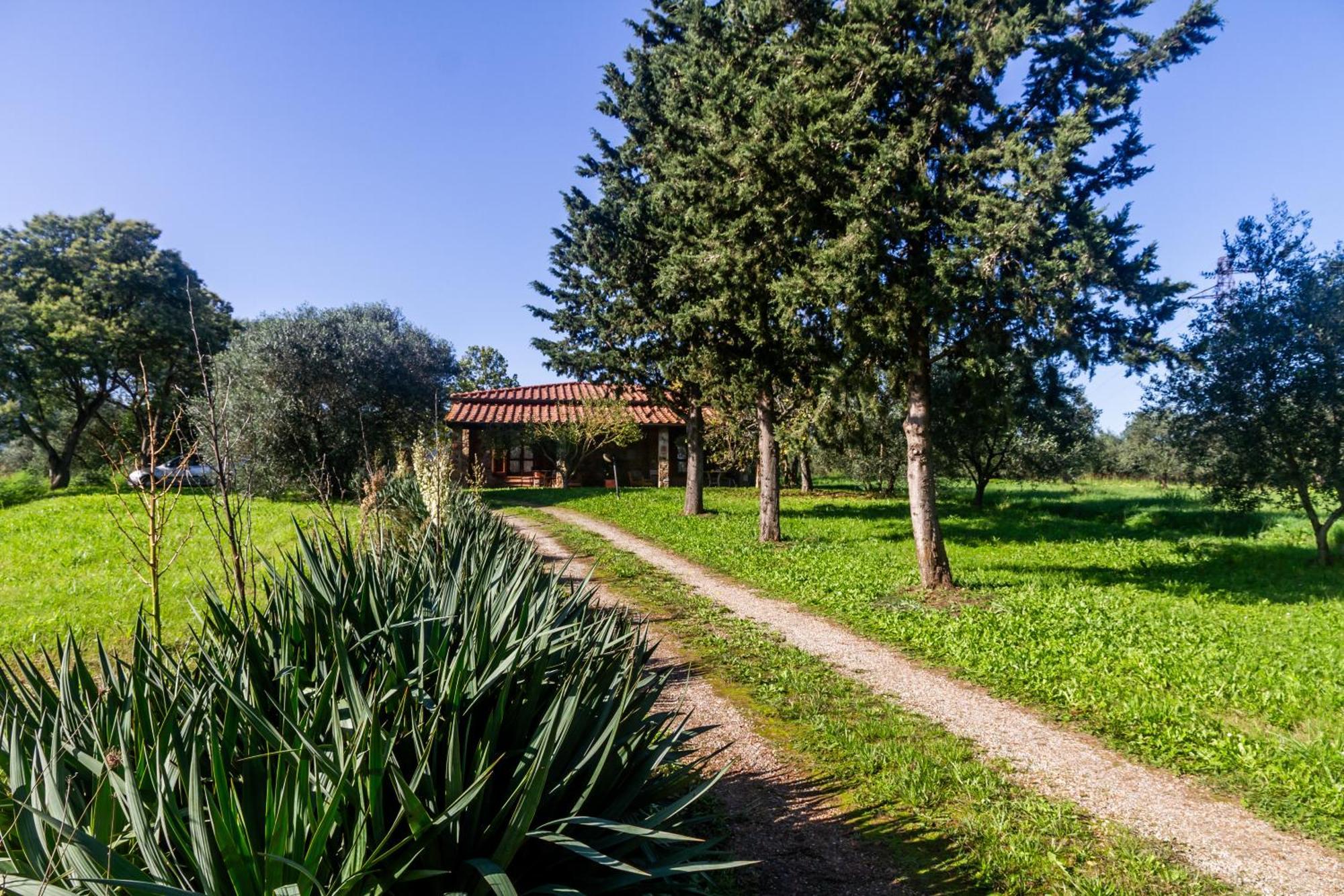 Agriturismo Bio Fattoria Casetta Gavorrano Zewnętrze zdjęcie